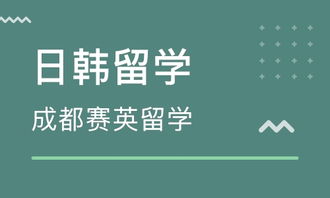 成都賽英教育咨詢 提升教育規劃的專業伙伴